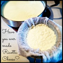 Homemade Ricotta in the making!