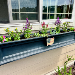 Spring has FINALLY sprung!